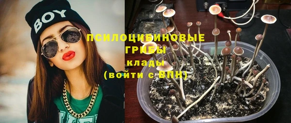 мяу мяу мука Пересвет